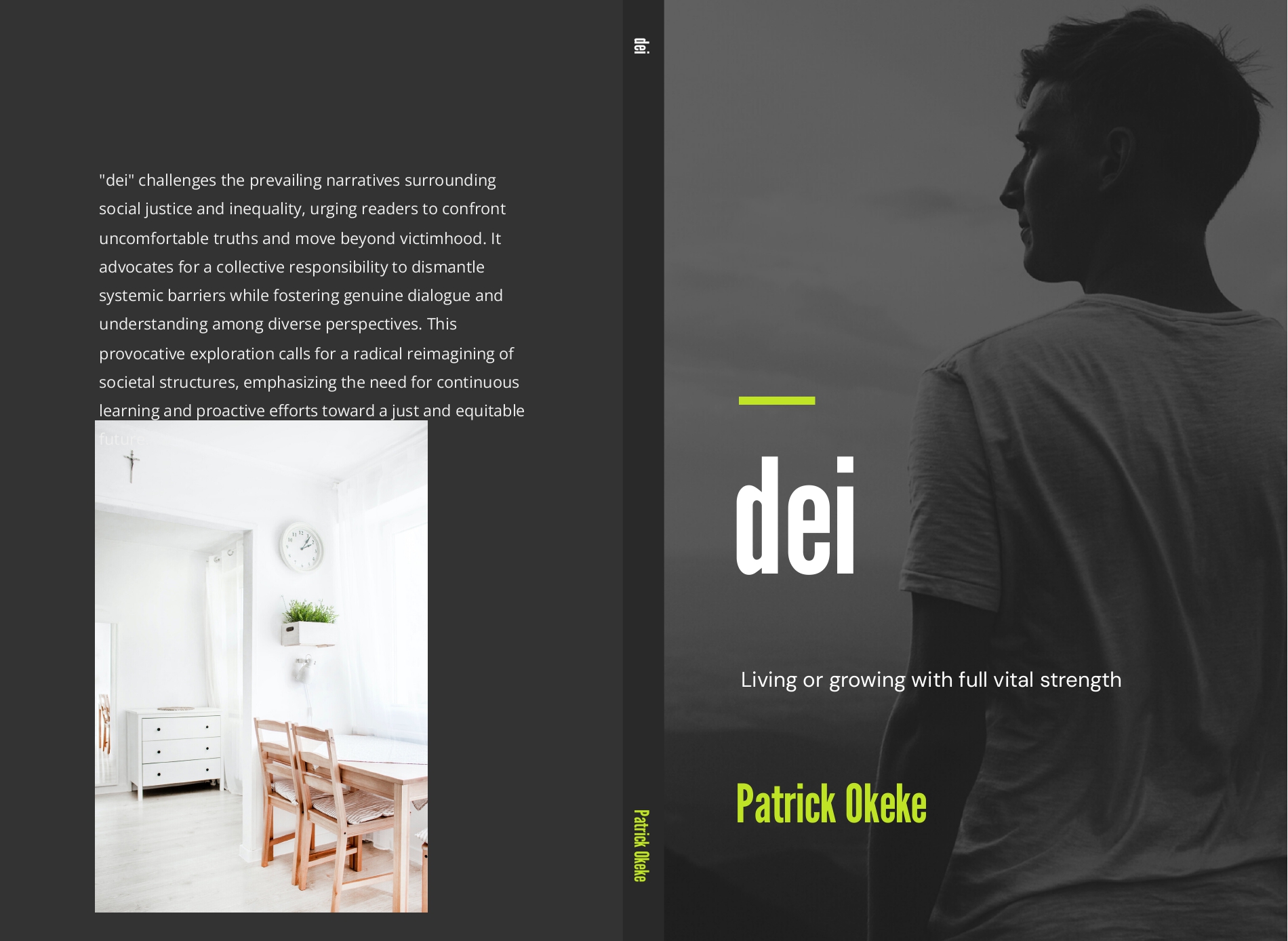 DEI book cover