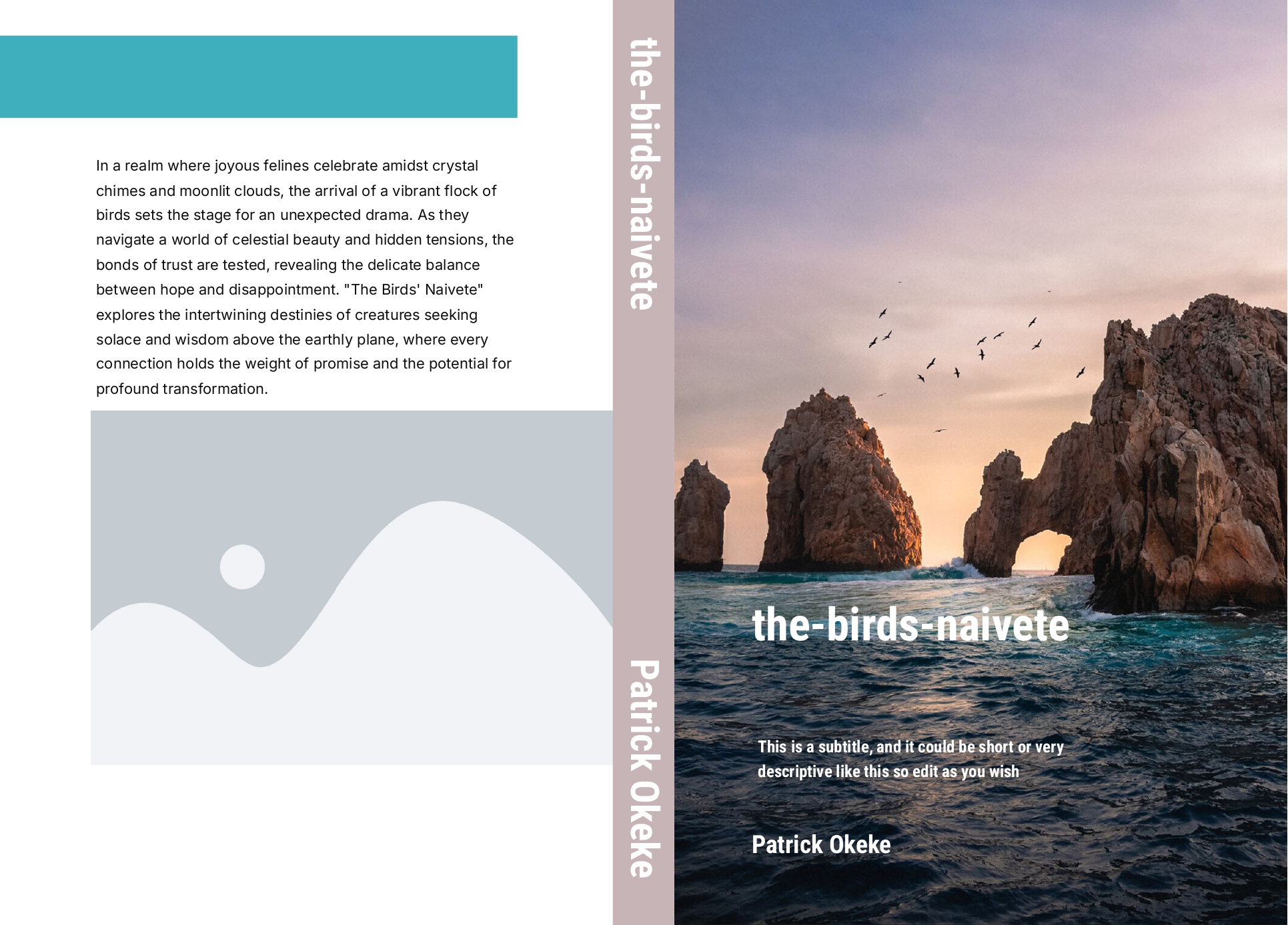 The Birds Naivete book cover