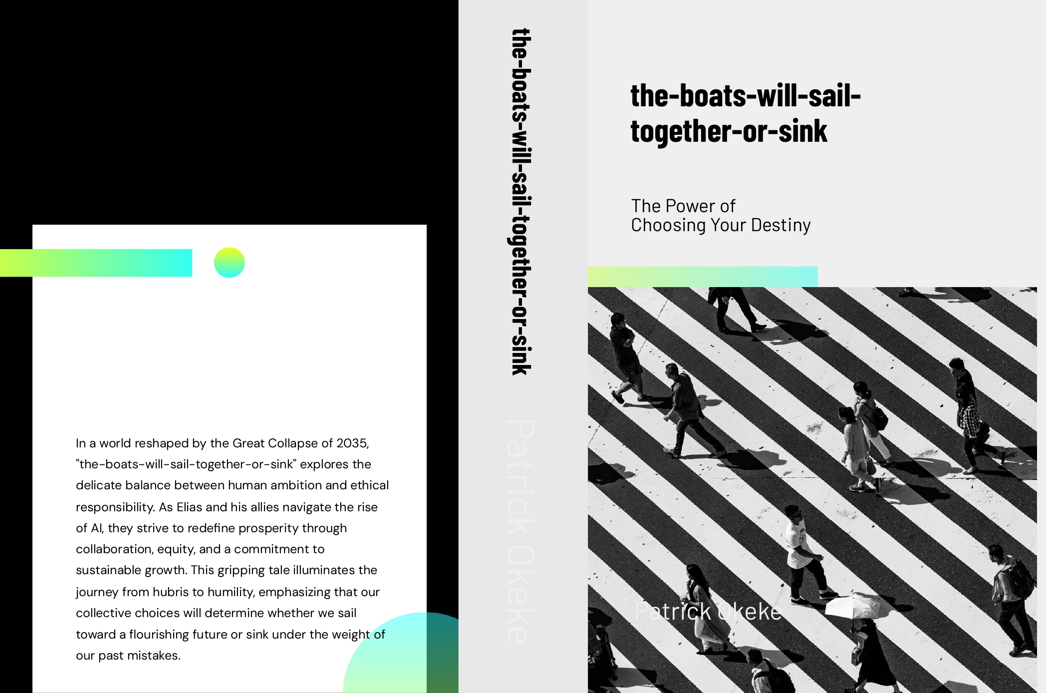 The Boats will sail together or sink book cover